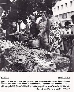 Algerie propagande 038